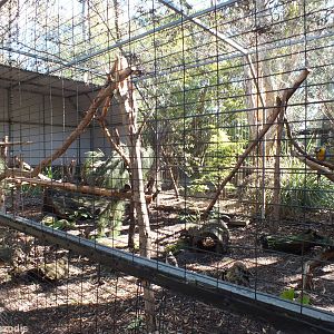 Macaw Aviary