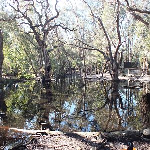 View of Lake Enclosure