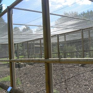 Meerkat Enclosure - 29 August 2016, Askham Bryan Wildlife and Conservation