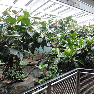 Bronx Zoo: July 2016