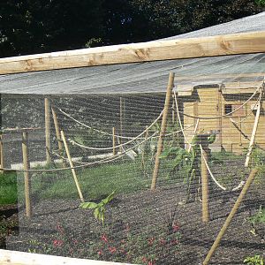 Common Marmoset Enclosure - 29 August 2016, Askham Bryan Wildlife and Conse