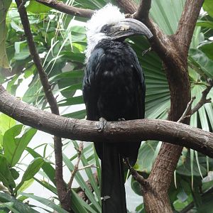 Central Park Zoo: July 2016