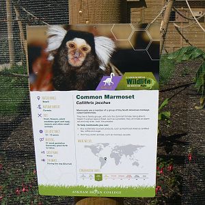 Signage Example - 29 August 2016, Askham Bryan Wildlife and Conservation Pa