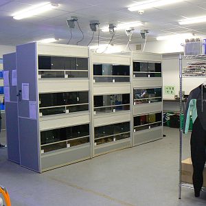 View of Off-show Aquatics Room - 29 August 2016, Askham Bryan Wildlife and
