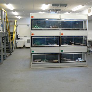 View of Off-show Reptile Room - 29 August 2016, Askham Bryan Wildlife and C