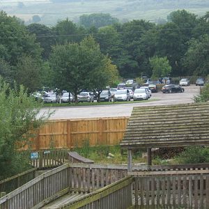 View of car park from the penguin viewing