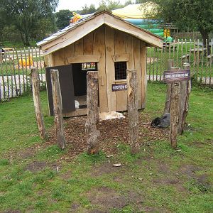 View of Giant Rabbit Hole exhibit