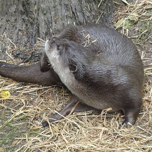 Bronx Zoo: July 2016