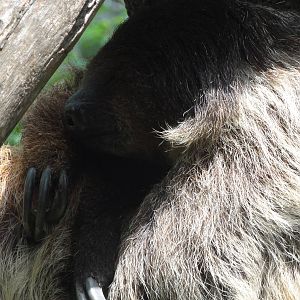 Bronx Zoo: July 2016