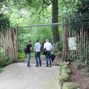 Viewing-window Lynx-enclosure