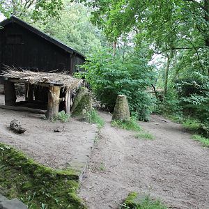 Tapir and Anteater enclosure