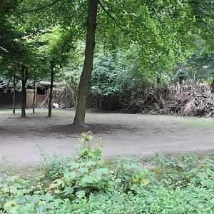 Wallaby and Emu enclosure