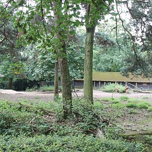 Pere Davids deer enclosure