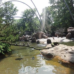 Bronx Zoo: July 2016