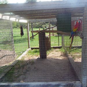 Macaw Exhibit