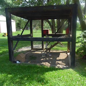 Phesant/Rabbit/Squirrel Exhibit