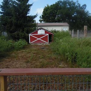 Chicken/Duck Exhibit