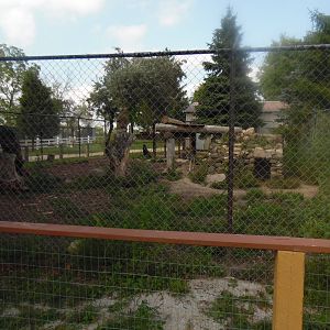 Wolf Exhibit