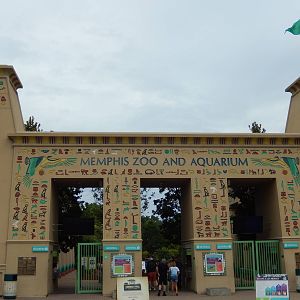 8/14/2016 - Entry Gate