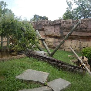 8/14/2016 - White-Cheeked Gibbon Habitat