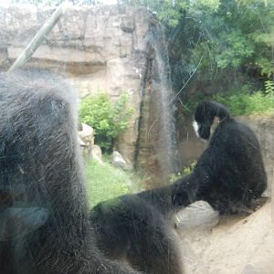 8/14/2016 - Some WILD Lunchtime Guests