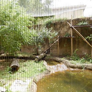 8/14/2016 - Fishing Cat Habitat