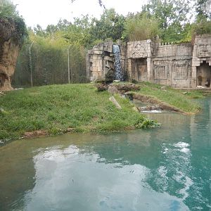 8/14/2016 - Tiger Habitat