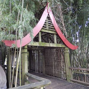 8/14/2016 - Oriental-Style Bridge