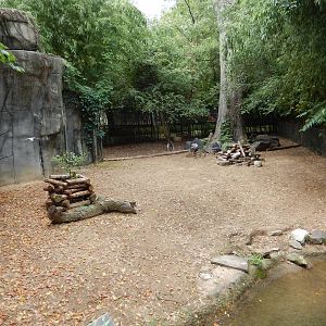 8/14/2016 - Crested Screamer & Capybara Exhibit