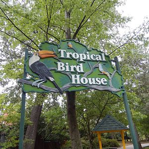 8/14/2016 - Tropical Bird House Sign