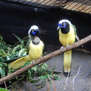 8/14/2016 - Species I.D. Help Please?