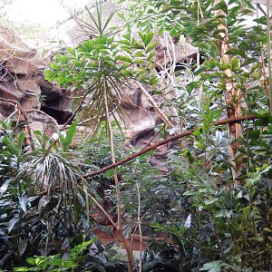 8/14/2016 - Free-Flight Aviary