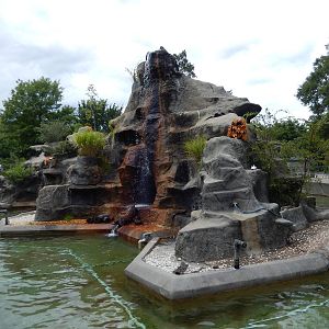 8/14/2016 - Penguin Rock