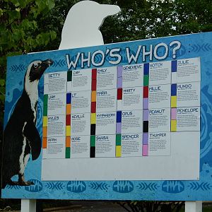 8/14/2016 - Penguin I.D. Sign