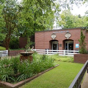 8/14/2016 - Aquarium Entry Area