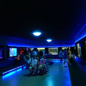 8/14/2016 - Aquarium (Left Half)