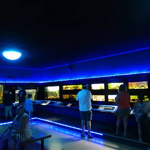 8/14/2016 - Aquarium (Right Half)