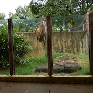 8/14/2016 - First Komodo Dragon Habitat