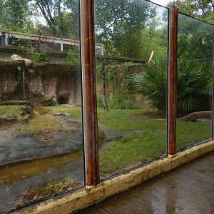 8/14/2016 - Second Komodo Dragon Habitat