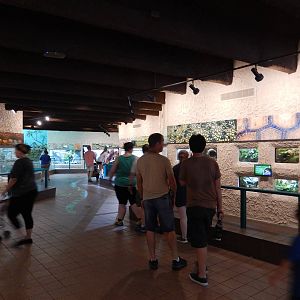 8/14/2016 - General View of the Herpetarium