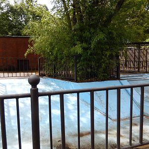 8/14/2016 - Old Hippo Pool