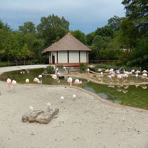 8/14/2016 - Flamingo Pond