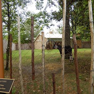 8/14/2016 - Okapi Exhibit