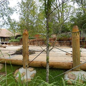 8/14/2016 - Nile Hippo Habitat Land Area
