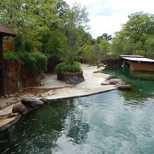 8/14/2016 - Nile Hippo Habitat