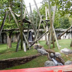 8/14/2016 - Sumatran Orangutan Habitat