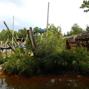 8/14/2016 - Primate Island