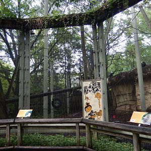 8/14/2016 - Colobus Monkey Exhibit