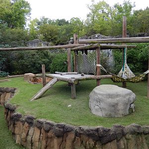 8/14/2016 - Giant Panda Habitat