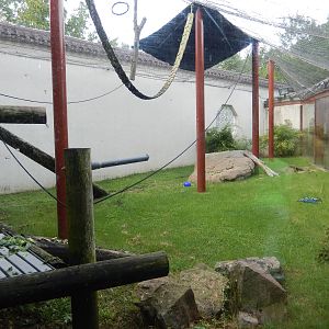 8/14/2016 - Francois Langur Exhibit